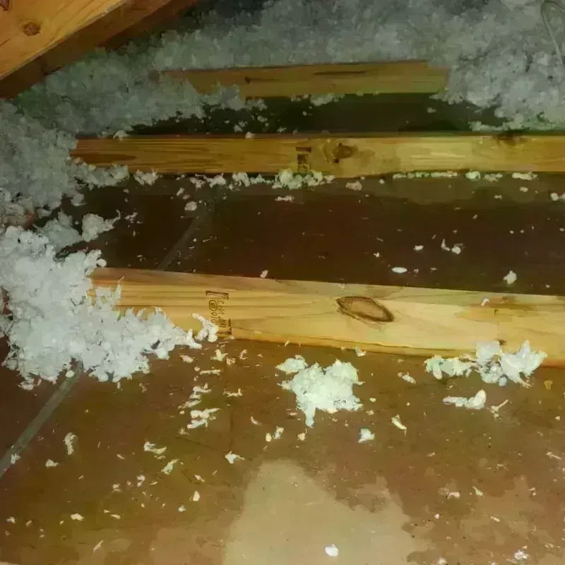 Attic Water Damage in Lumberton, NC