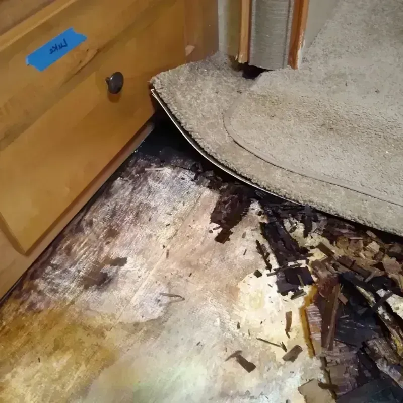 Wood Floor Water Damage in Lumberton, NC